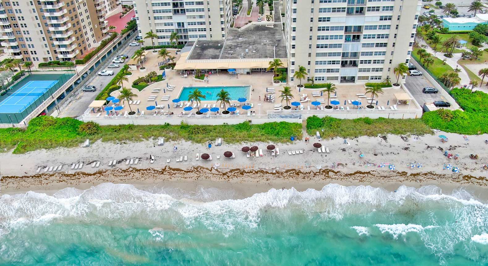 South City beach Park'in fotoğrafı ve yerleşim