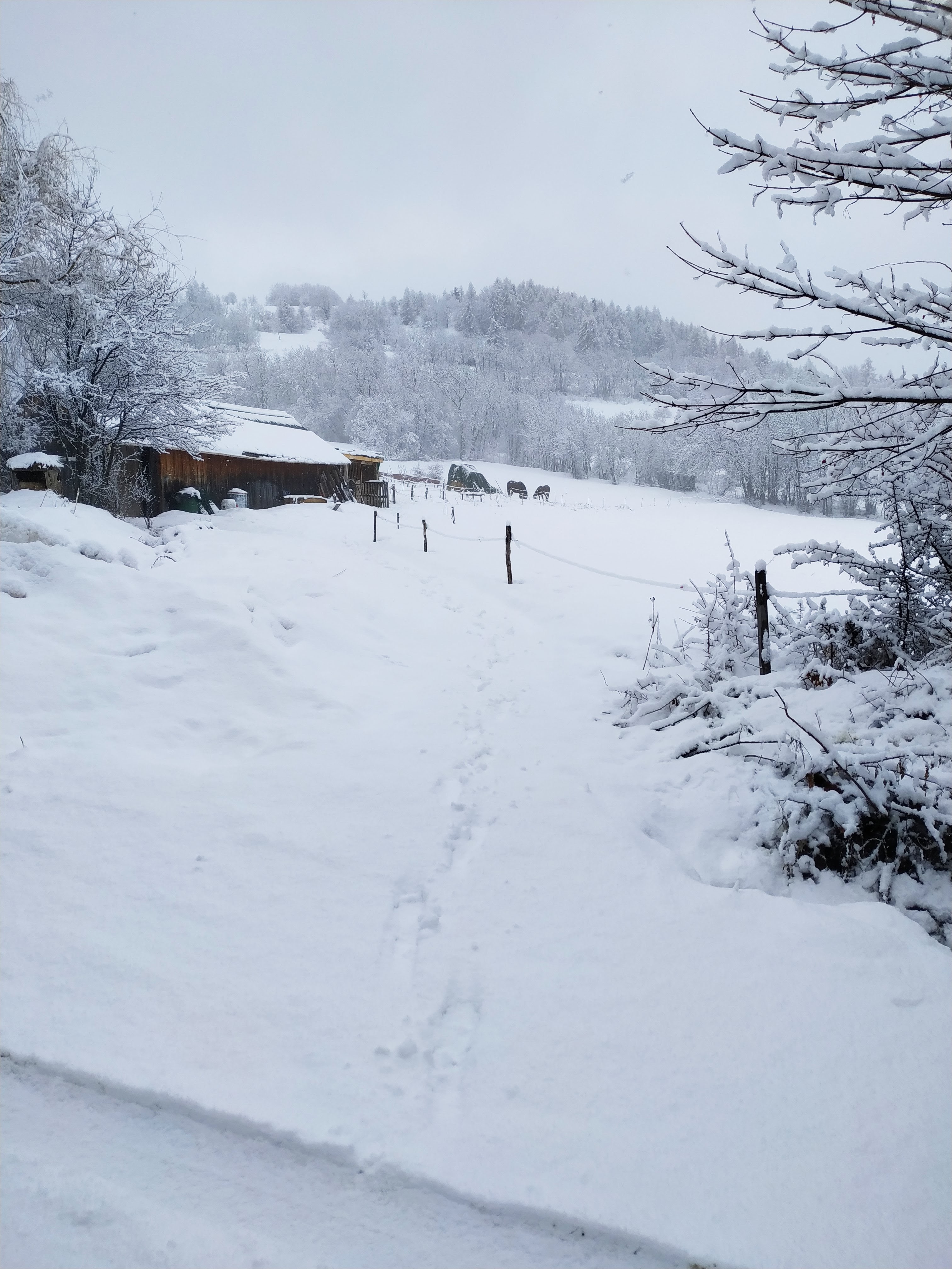 Photo n° 1 de l'avis de Muriel.r fait le 07/02/2021 à 14:37