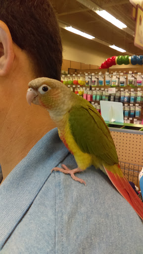 Pet Supply Store «Petco Animal Supplies», reviews and photos, 3055 Columbia Blvd #117, Titusville, FL 32780, USA