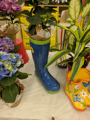 Grocery Store «Grocery Outlet Bargain Market», reviews and photos, 710 SE Everett Mall Way, Everett, WA 98208, USA