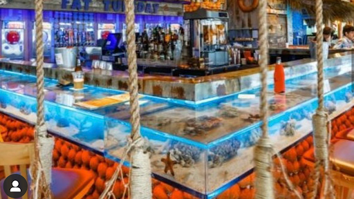 Suncoast Aquarium Inc