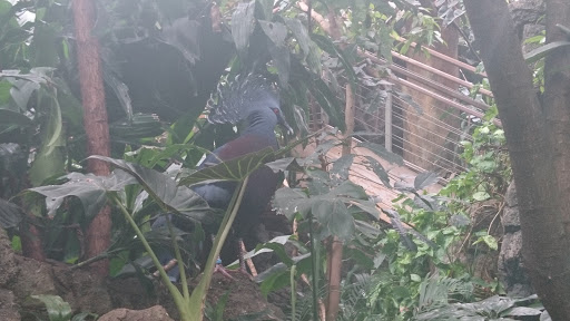 Shopping Mall «Ridgeway Shopping Center», reviews and photos, 2233 Summer St, Stamford, CT 06905, USA