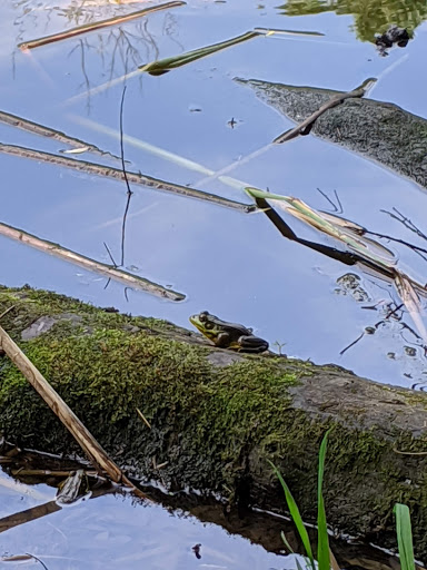 Nature Preserve «Hickory Creek Preserve», reviews and photos, Wolf Rd, Mokena, IL 60448, USA