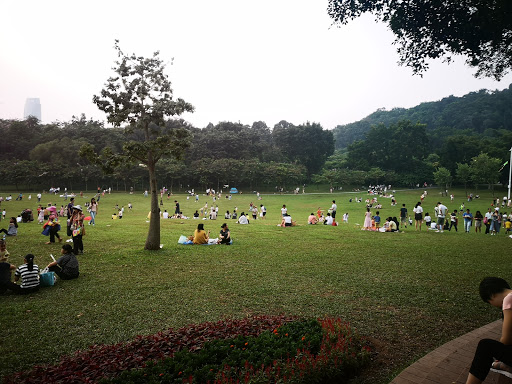 Parks with bar in Shenzhen
