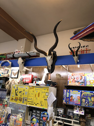 Toy Store «Brookside Toy and Science», reviews and photos, 330 W 63rd St, Kansas City, MO 64113, USA