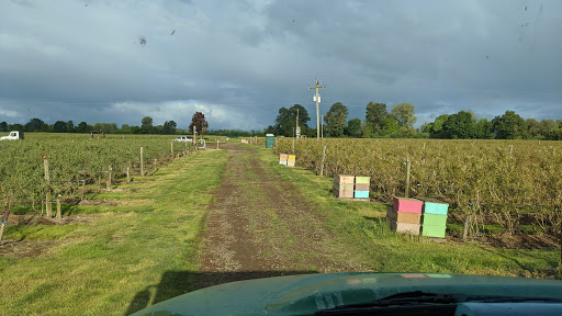 Animal Feed Store «Wilco Farm Store», reviews and photos, 734 McClaine St, Silverton, OR 97381, USA