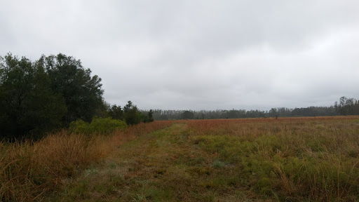 Nature Preserve «Conner Preserve», reviews and photos, 22500 FL-52, Land O Lakes, FL 34637, USA