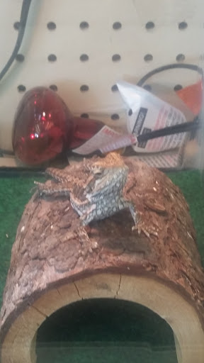 Pet Supply Store «Pet Supplies Plus», reviews and photos, 508 E Stroop Rd, Kettering, OH 45429, USA