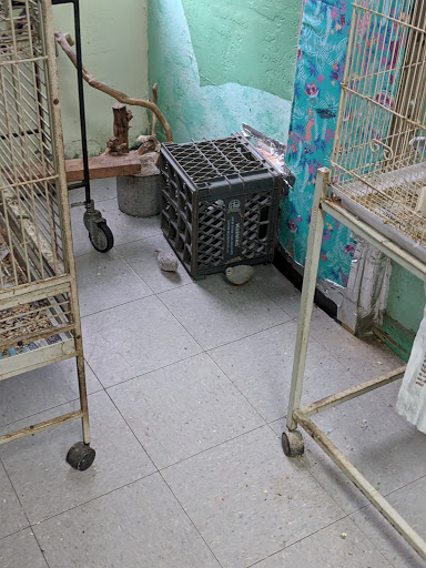 Pet Supply Store «The Animal Connection», reviews and photos, 2550 2550 Judah St & 31st Ave, San Francisco, CA 94122, USA