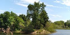 William B. Pond Picnic Facilities