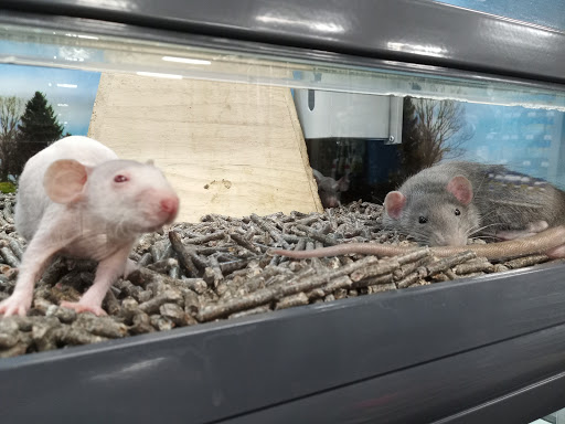 Pet Store «Carters Pet Mart», reviews and photos, 510 N Main St, Manteca, CA 95336, USA