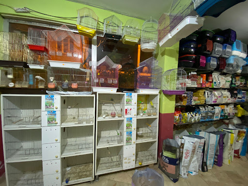 YENİDOĞAN PETSHOP | Gürsu Bursa - Kuşçu