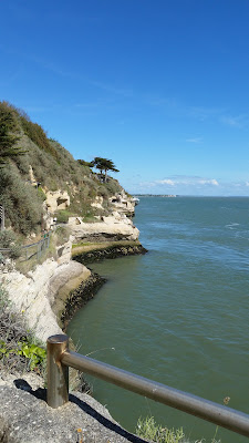 MESCHERS-SUR-GIRONDE - Vergnes à Meschers-sur-Gironde