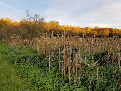 Park «French Regional Park», reviews and photos, 12605 Rockford Rd, Plymouth, MN 55441, USA