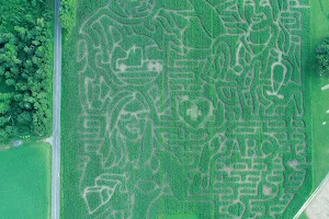 Derthick's Corn Maze image