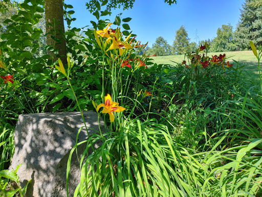 Park «Rood Bridge Park», reviews and photos, 4000 SE Rood Bridge Rd, Hillsboro, OR 97123, USA