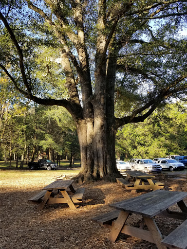 Tourist Attraction «William Harris Homestead», reviews and photos, 3636 State Hwy 11, Monroe, GA 30656, USA