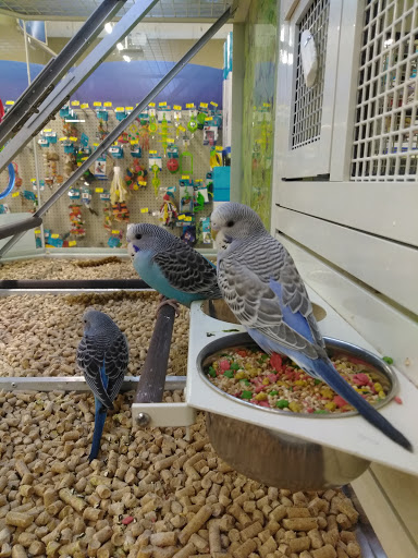 Pet Supply Store «PetSmart», reviews and photos, 7061 Youree Dr, Shreveport, LA 71105, USA