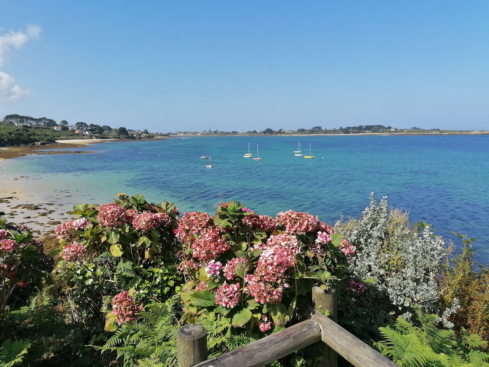 Foto de Plage des Anges con arena beige superficie