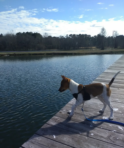 Public Golf Course «Lagoon Park Golf Course», reviews and photos, 2855 Lagoon Park Dr, Montgomery, AL 36109, USA