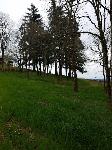 Winery «Archery Summit Winery», reviews and photos, 18599 NE Archery Summit Rd, Dayton, OR 97114, USA