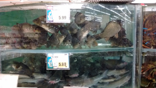 Shopping Mall «Pacific East Mall», reviews and photos, 3288 Pierce St, Richmond, CA 94804, USA