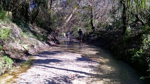Nature Preserve «Rye Preserve», reviews and photos, 905 Rye Wilderness Trail, Parrish, FL 34219, USA