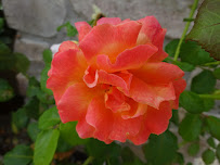 Precision Irrigation Team - Photo 7 - Car repair in Rancho Santa Fe, CA, Escondido