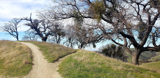 Pet Supply Store «Pet Food Express», reviews and photos, 1436 Old First St, Livermore, CA 94550, USA