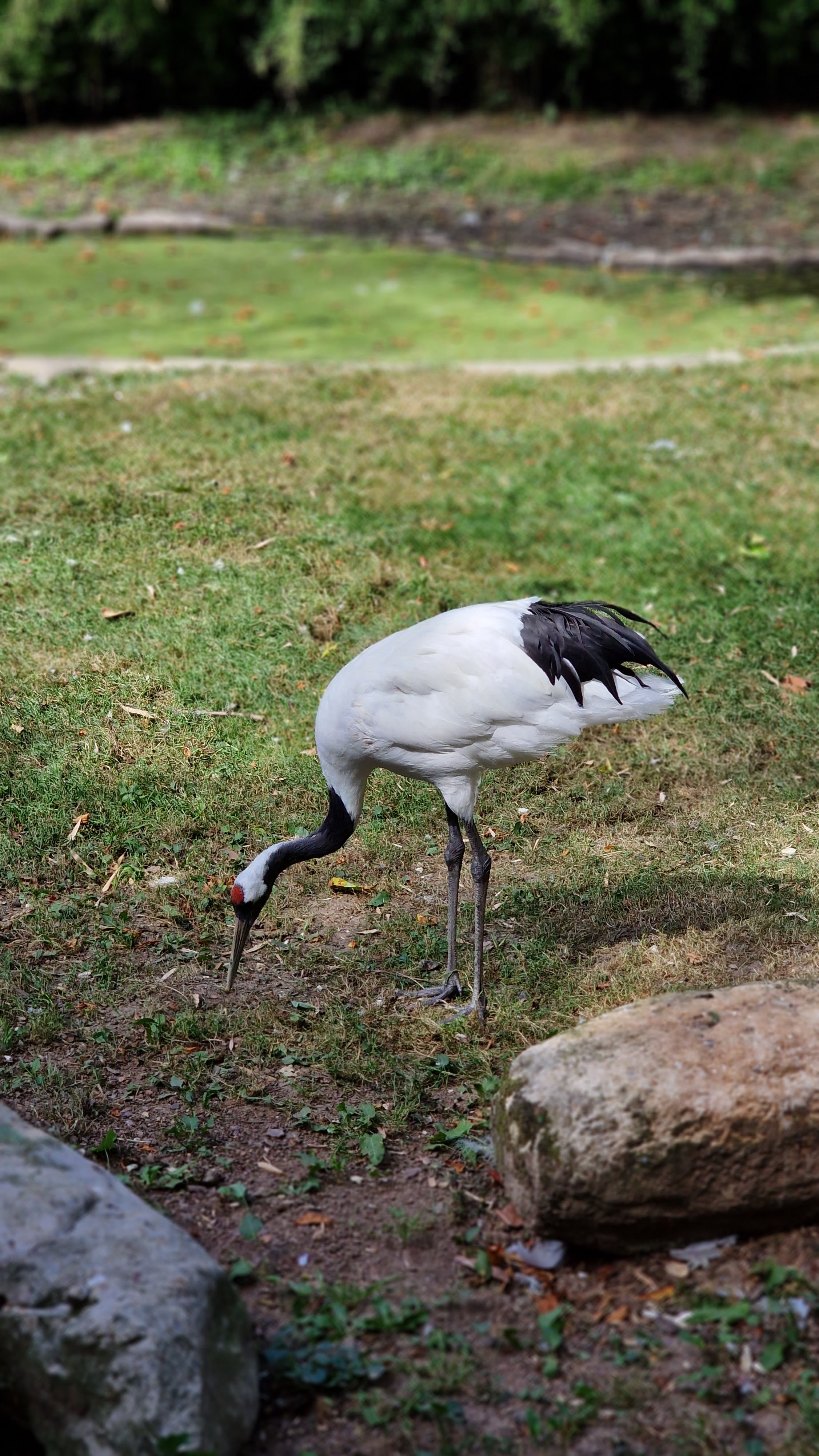 Photo n° 4 de l'avis de Xavier.E fait le 07/08/2022 à 10:27
