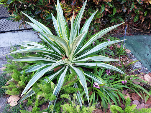 Park «North Shore Open Space Park», reviews and photos, 8328 Collins Ave, Miami Beach, FL 33141, USA