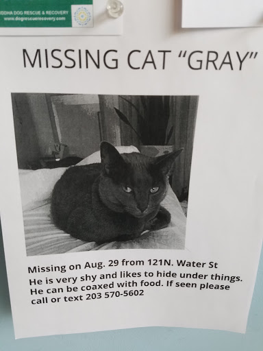 Pet Store «Pet Pantry Warehouse», reviews and photos, 290 Railroad Ave, Greenwich, CT 06830, USA