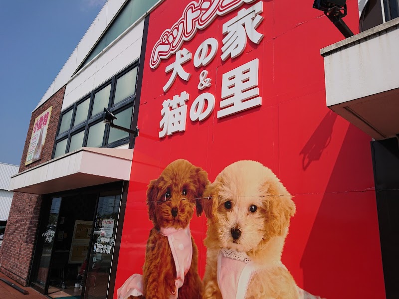 ペットショップ 犬の家＆猫の里 近江八幡店