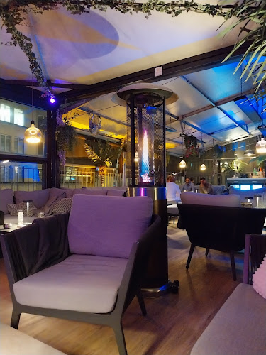 Nelson - Bar
