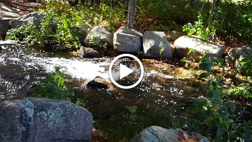 State Park «Borderland State Park», reviews and photos, 259 Massapoag Ave, North Easton, MA 02356, USA