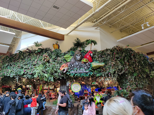 Toy Store «Disney Store», reviews and photos, 3000 Grapevine Mills Pkwy, Grapevine, TX 76051, USA
