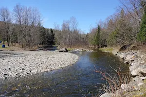 Sentier de la rivière Osgood image
