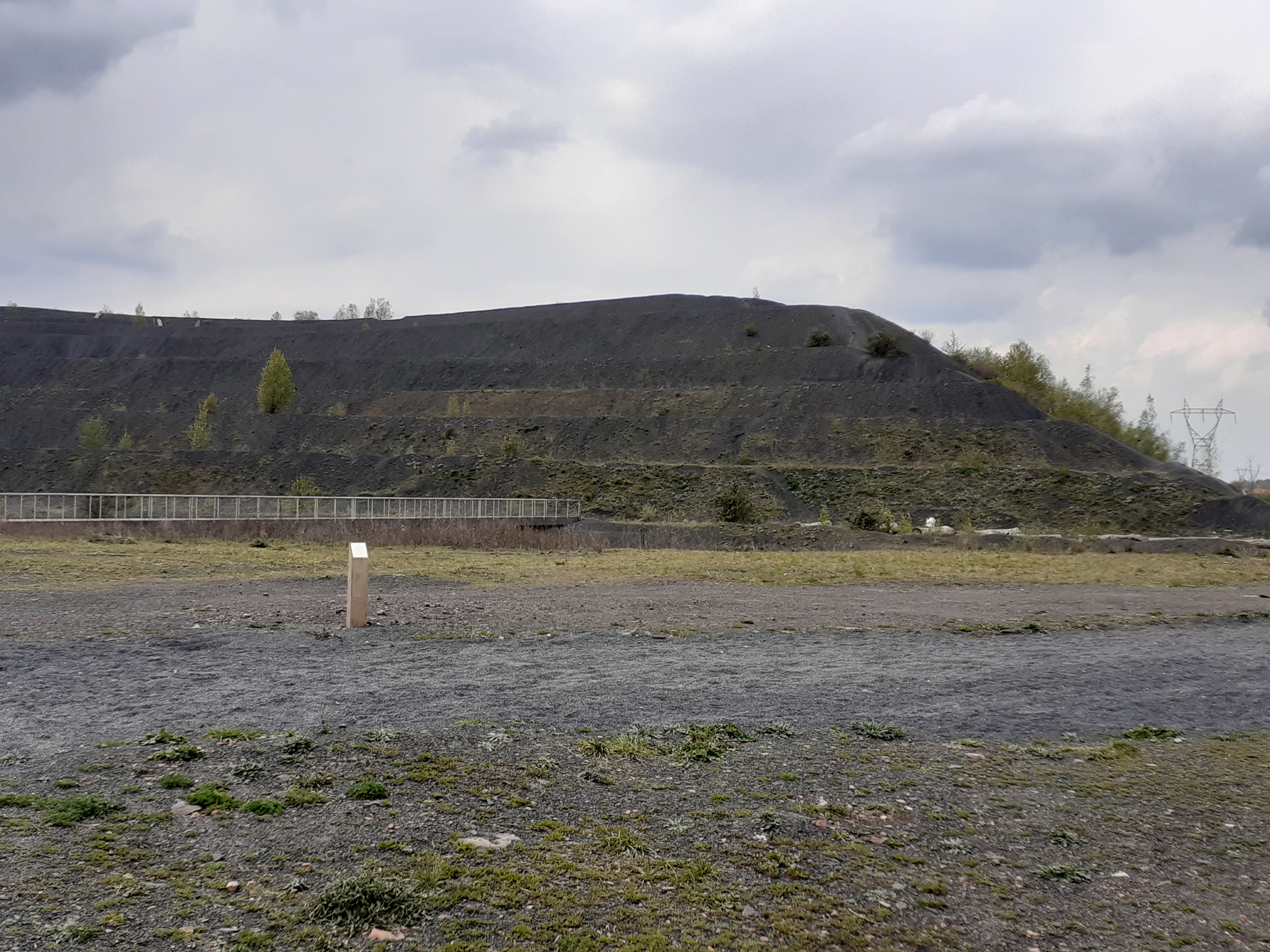 Photo n° 15 de l'avis de Laurence.e fait le 30/04/2021 à 14:23