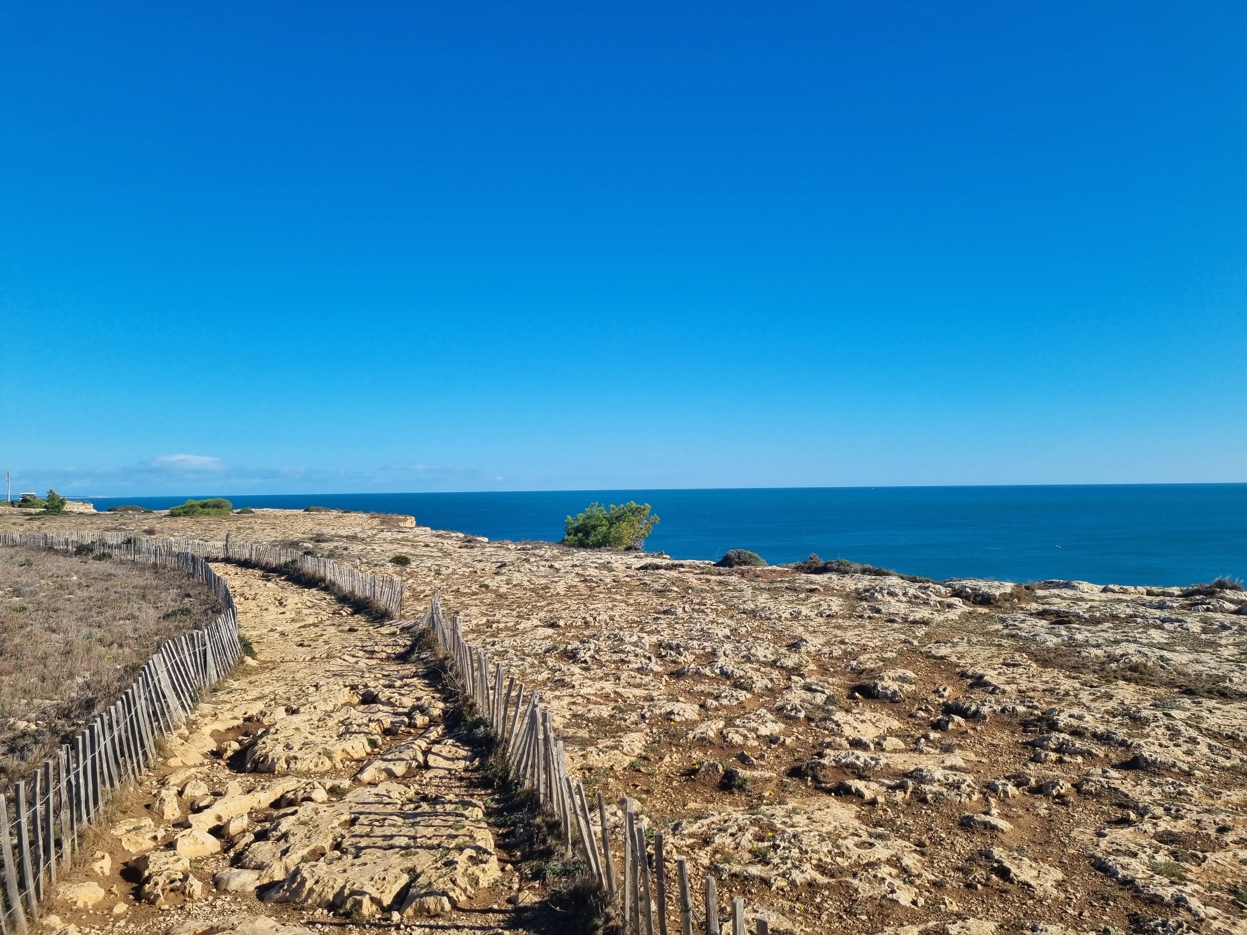 Photo n° 9 de l'avis de françois.O fait le 31/10/2023 à 18:26