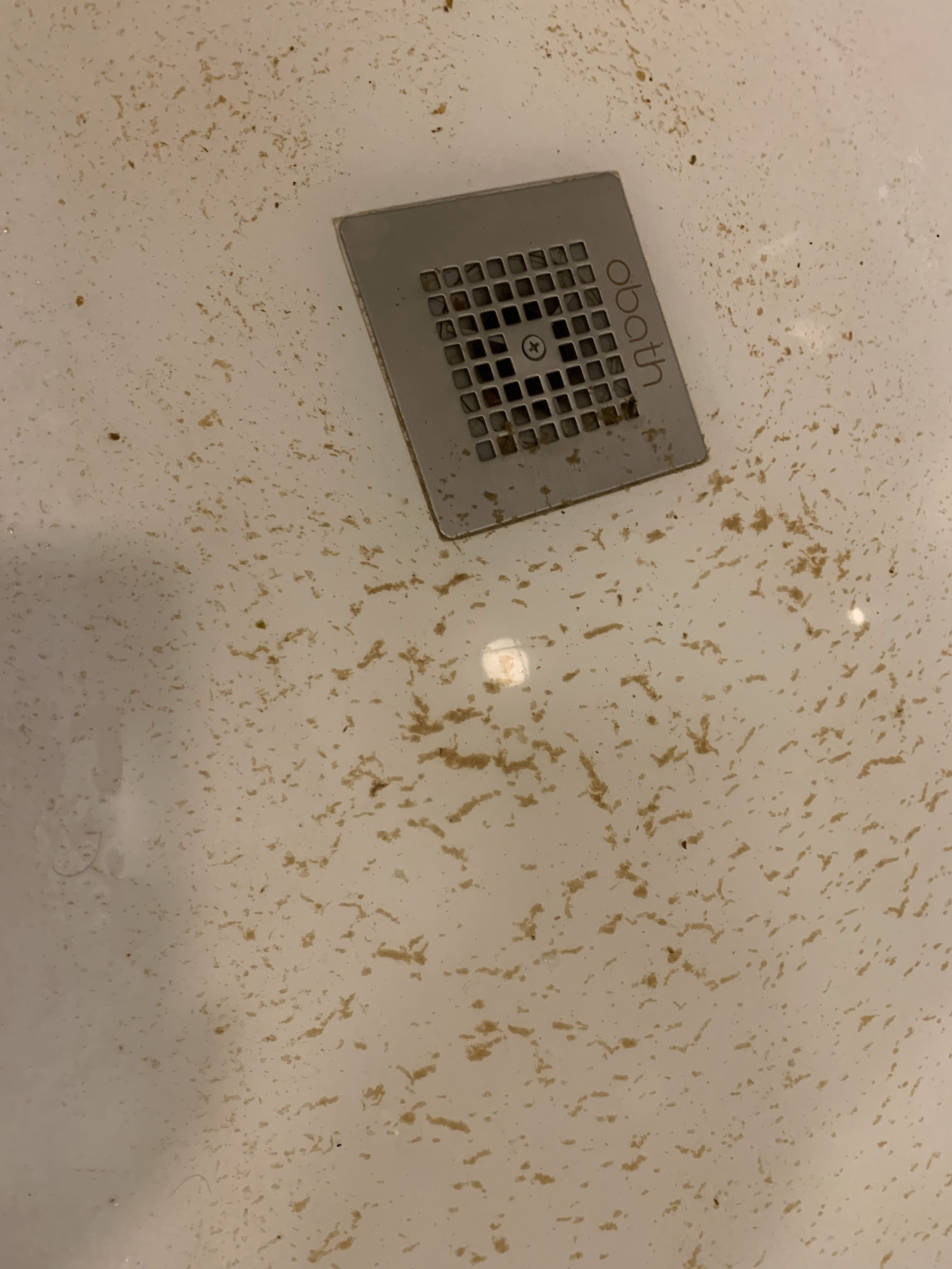Photo n° 1 de l'avis de Kaisa.c fait le 22/07/2019 à 05:57