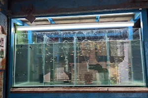 Pavai Fish Aquarium image