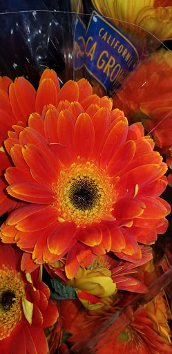 Grocery Store «Safeway», reviews and photos, 406 N Main St, Sebastopol, CA 95472, USA