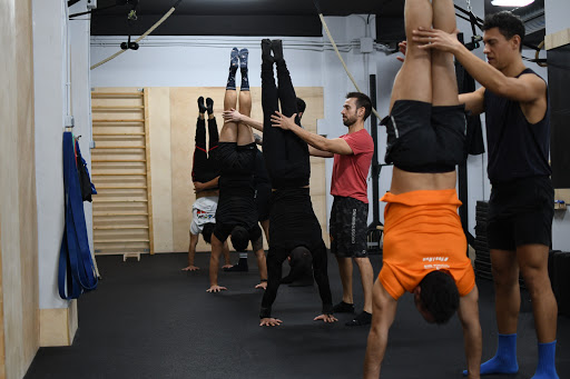 Primate Strength and Gimnasionastics en Valencia, Valencia