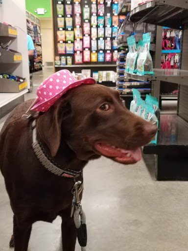 Pet Supply Store «Petco Animal Supplies», reviews and photos, 9350 US 49 a, Gulfport, MS 39503, USA