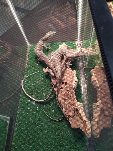 Event Venue «Lamar Dixon Expo Center», reviews and photos, 9039 S St Landry Ave, Gonzales, LA 70737, USA