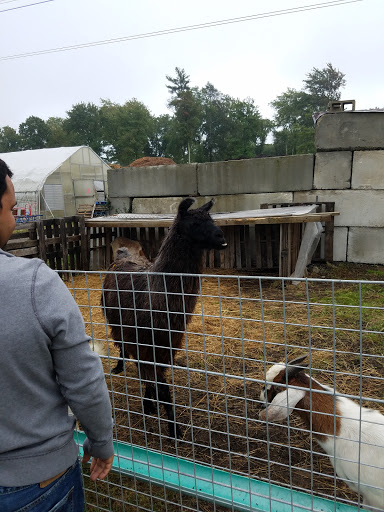 Farm «Fairmount Fruit Farm», reviews and photos, 887 Lincoln Street, Franklin, MA 02038, USA