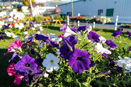 Florist «Dundalk Florist», reviews and photos, 7233 German Hill Rd, Dundalk, MD 21222, USA