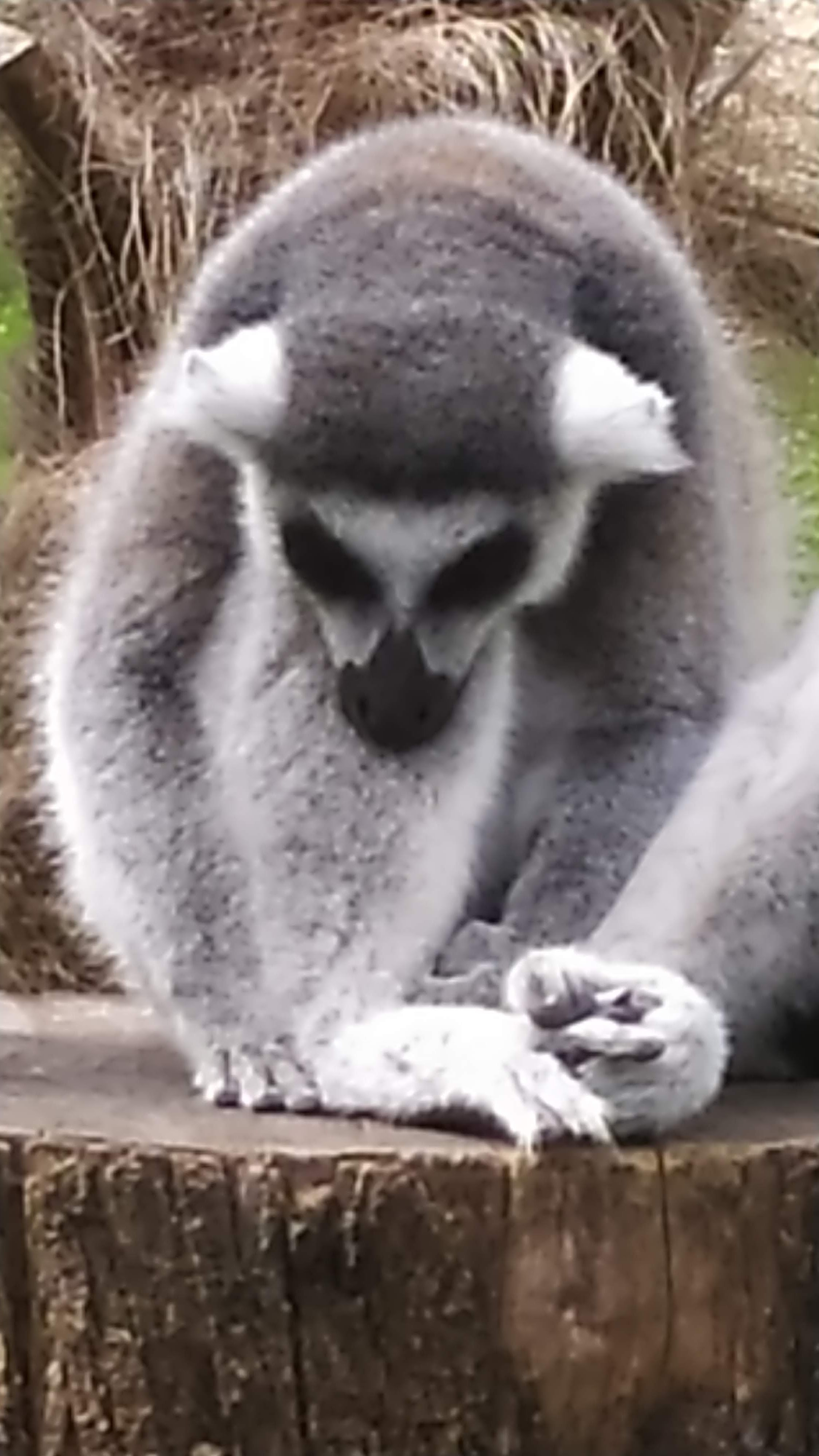 Photo n° 3 de l'avis de Joh.n fait le 23/08/2022 à 21:38