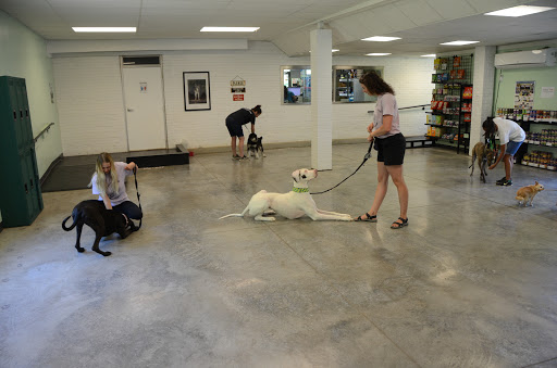 Dog Trainer «Mad 4 My Dog», reviews and photos, 702 E Temperance St, Ellettsville, IN 47429, USA