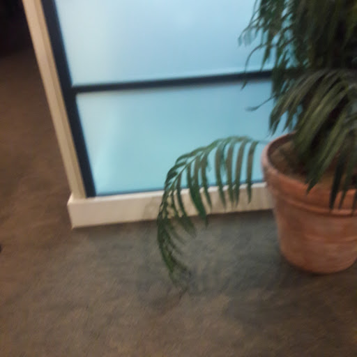 Wedding Venue «Jolie An Event Venue», reviews and photos, 5240 Panola Industrial Blvd, Decatur, GA 30035, USA